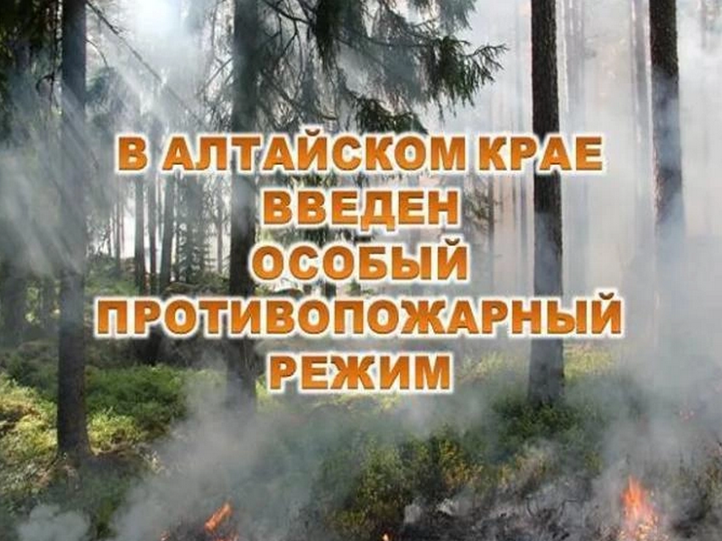 ВНИМАНИЕ! На территории Алтайского края с 26 июня 2024 года установлен особый противопожарный режим.