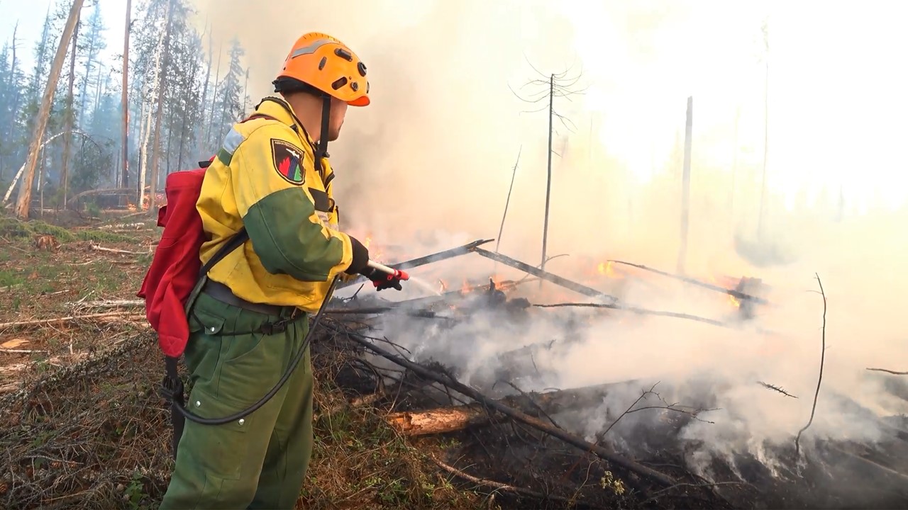 Лесопожарными службами ликвидировано более 100 пожаров: планируйте выходные без пикников в лесу.
