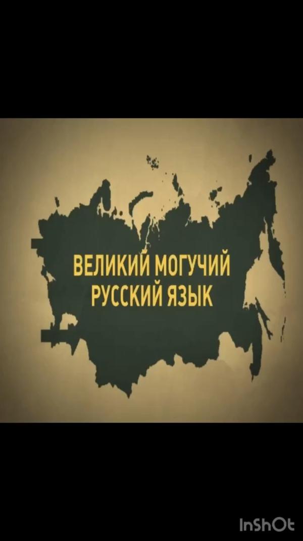 Зачем ты это сделал?.