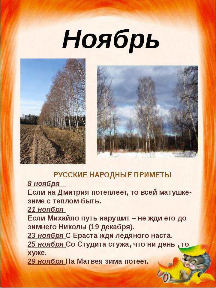 Народные приметы на 8 ноября 2024: что можно и нельзя делать в этот день.
