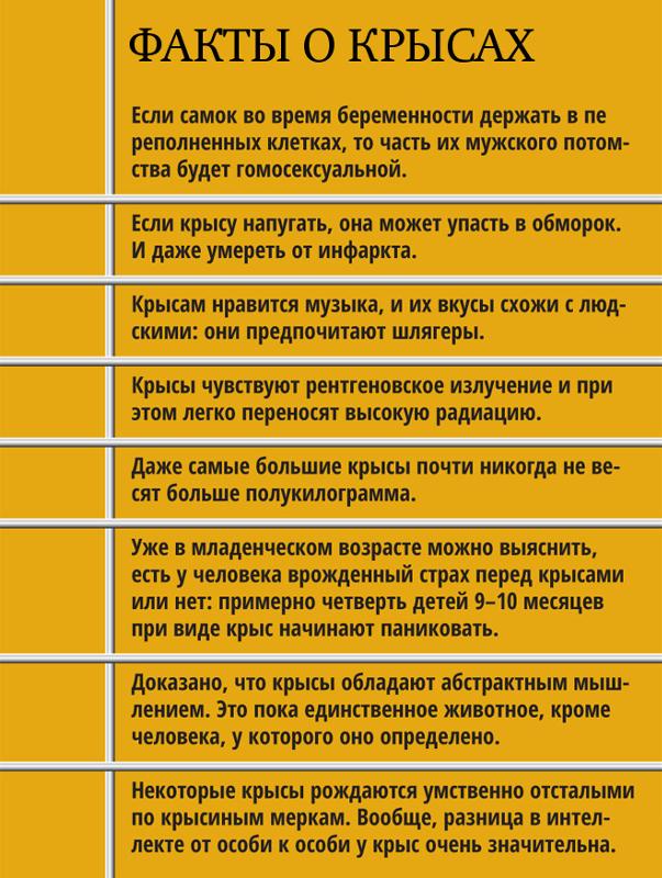 20 сколько чего-то там в чем-то там: интересные факты и подсказки для жизни.