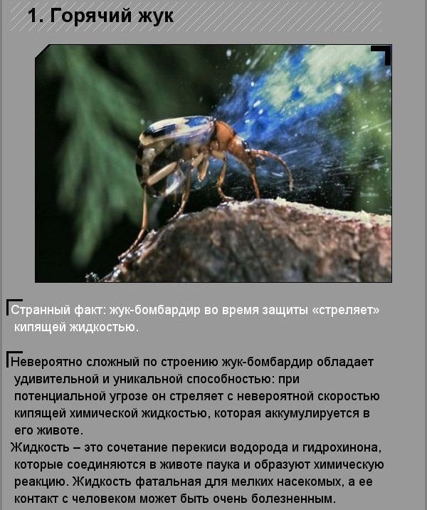 Факты о природе, которые впечатлят.