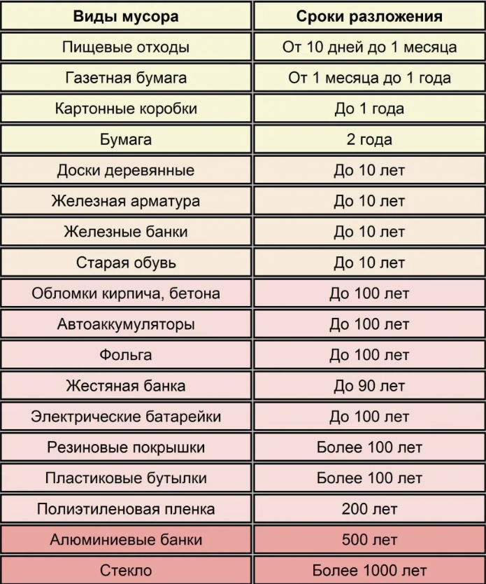Сроки разложения мусора.