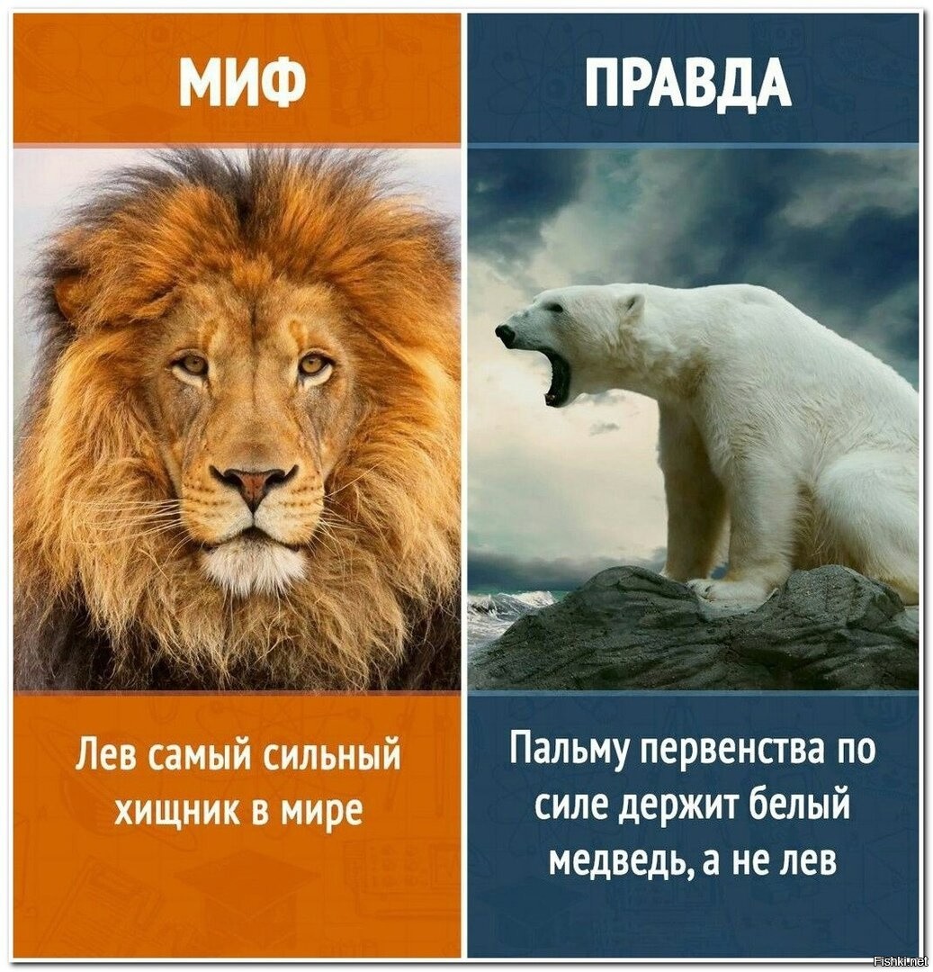 10 удивительных фактов, в которые трудно поверить.